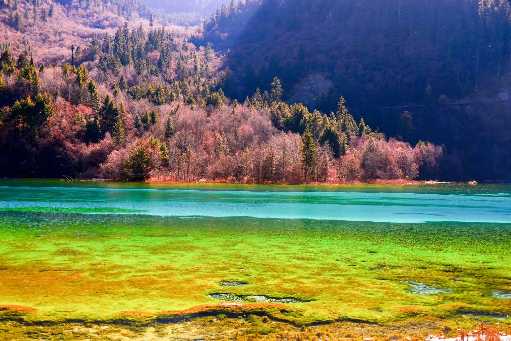 《不同凡飨》的四川大厨麻辣家乡情 – Travellution 畅游行