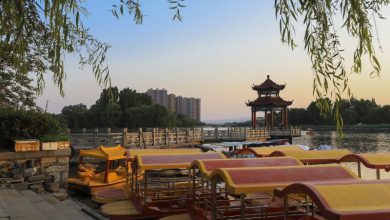 Photo of Love in Shandong | Explore Zibo and Encounter a Different Kind of Splendor (Part 2)