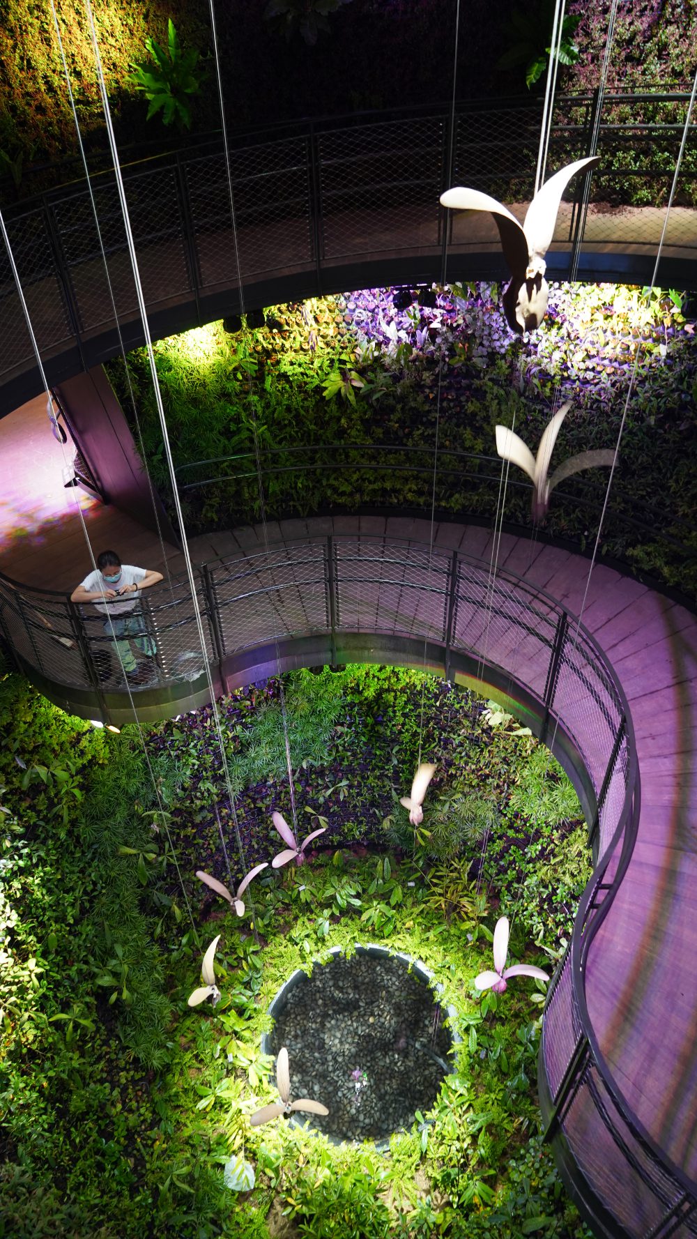 净零能源”新加坡馆本周五亮相2020迪拜世博会- Travellution 畅游行