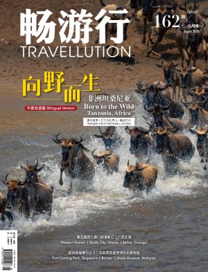 畅游行 Issue 162