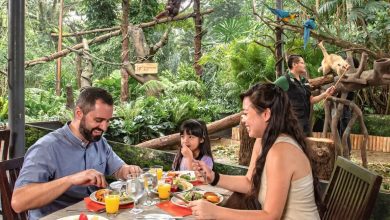 Photo of 新加坡动物园Breakfast in Wild回归 邀请民众与动物共享早餐时间