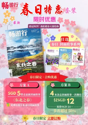 【春日特惠套装】春日  封面故事系列